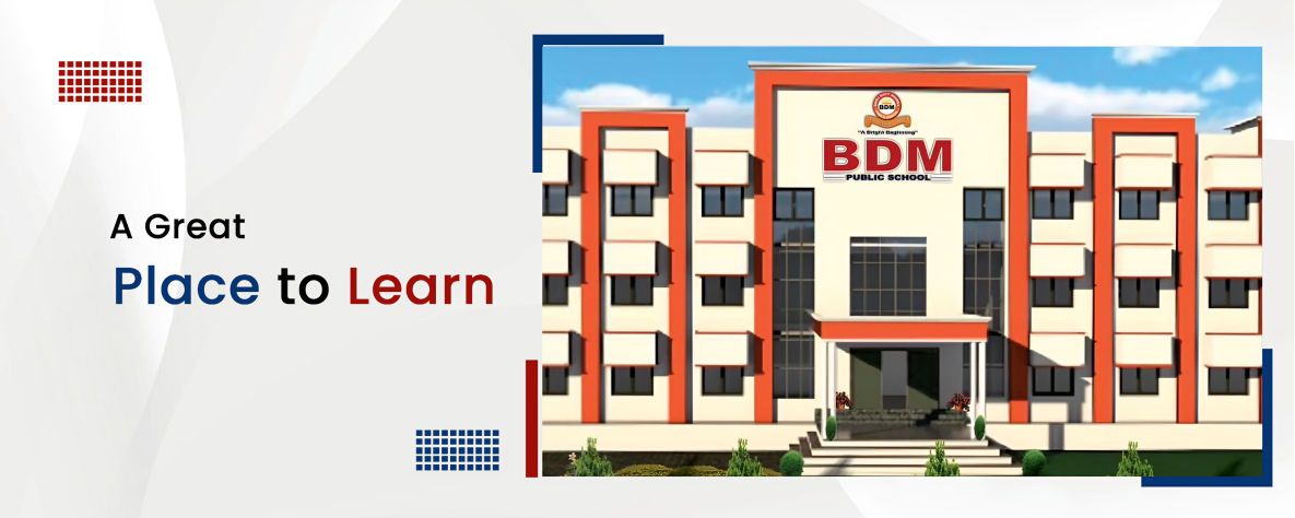 BDM Public School